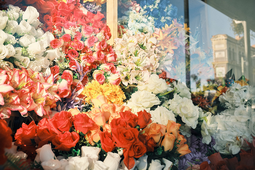 Colourful flowers in the window of a shop.